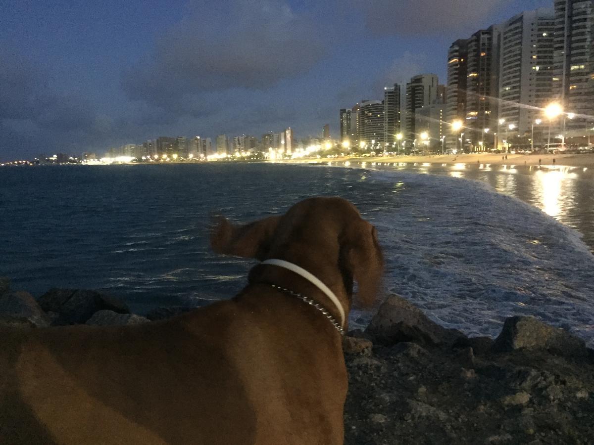 Apartamento na melhor localização de fortaleza!! Extérieur photo